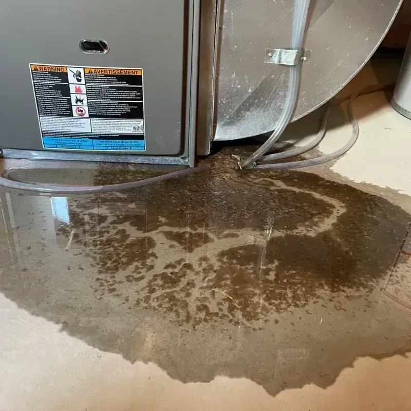 Appliance Leak Cleanup in Hoffman Estates, IL